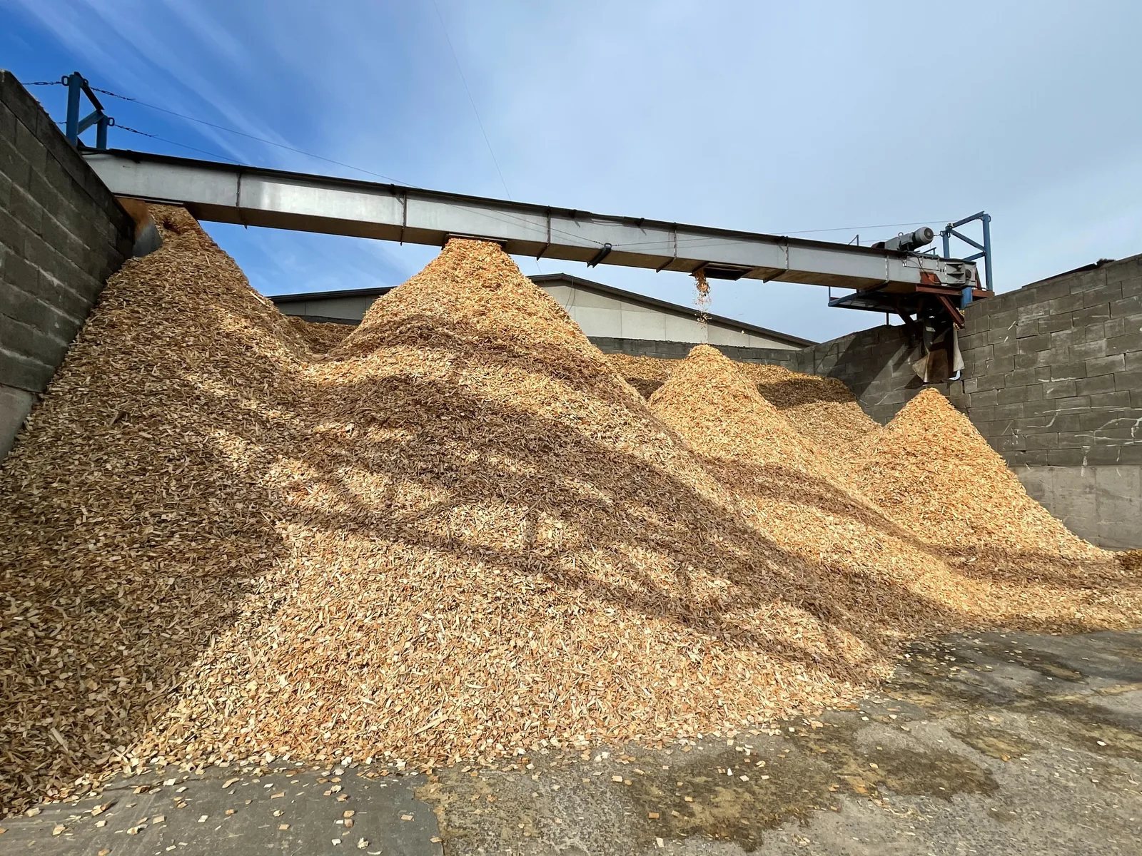 Wood chips and sawmill residues collected for efficient biomass use