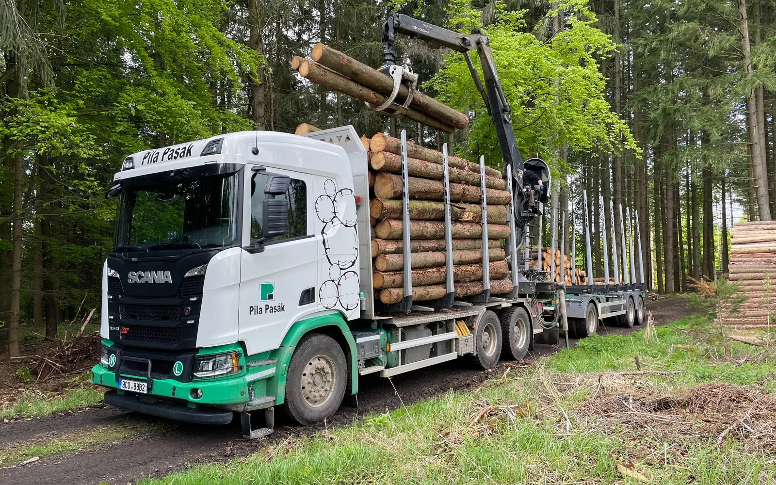 Pila Pasák forestry truck loading logs in a managed forest